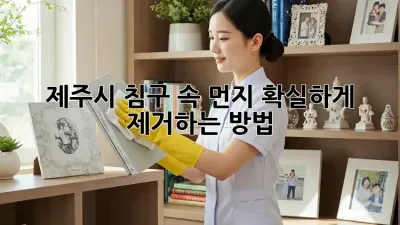 제주시 침구 속 먼지, 확실하게 제거하는 방법!