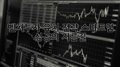 벤처투자 유치 전략: 스타트업 성공의 지름길