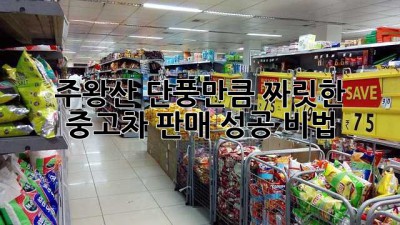주왕산 단풍만큼 짜릿한 중고차 판매 성공 비법🍁🚗